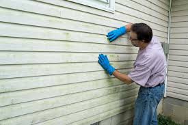 Affordable Siding Repair and Maintenance Services in Destin, FL